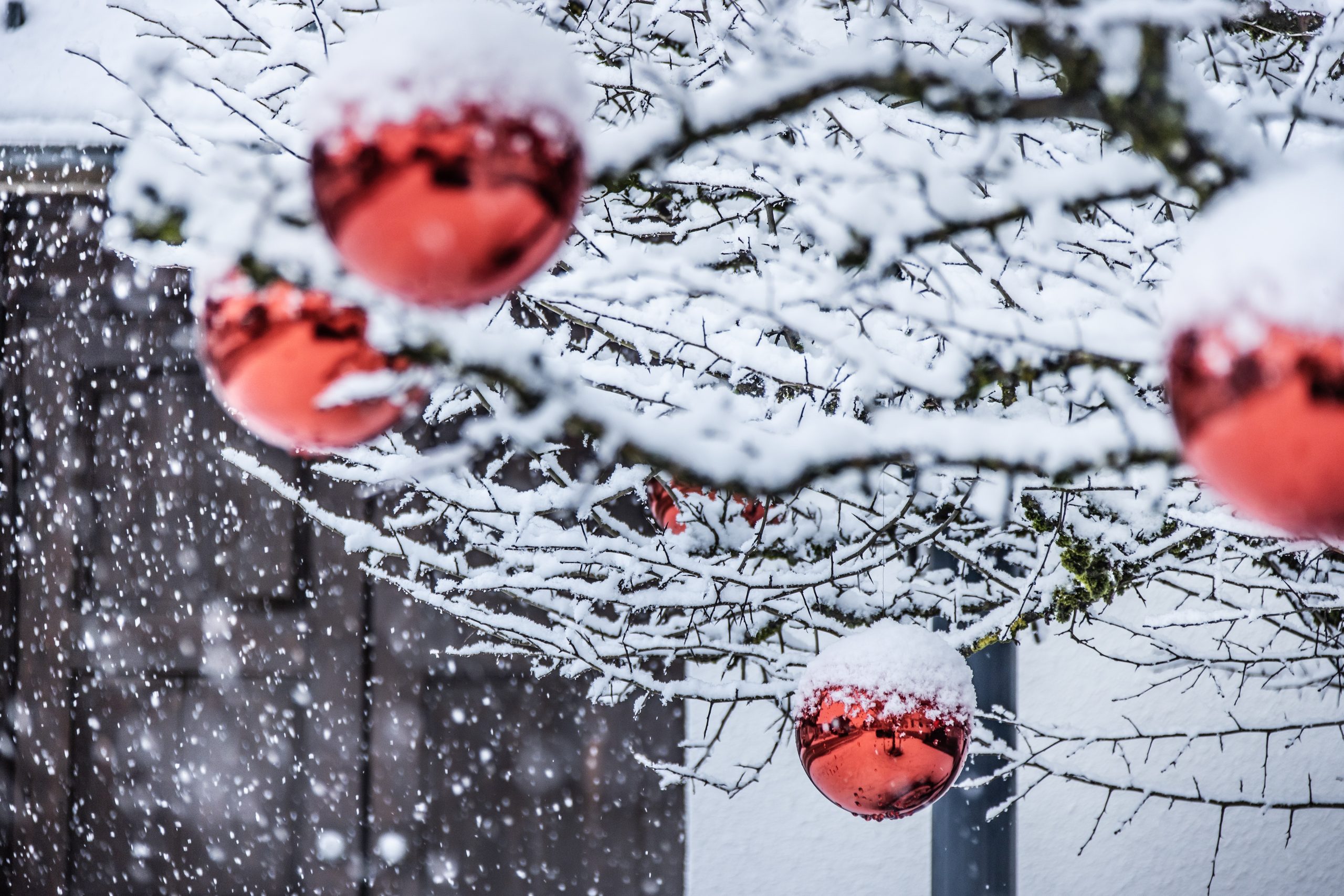 Bezau im Winter (c) Emanuel Sutterlüty - Bezau Tourismus